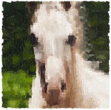 Horse 2